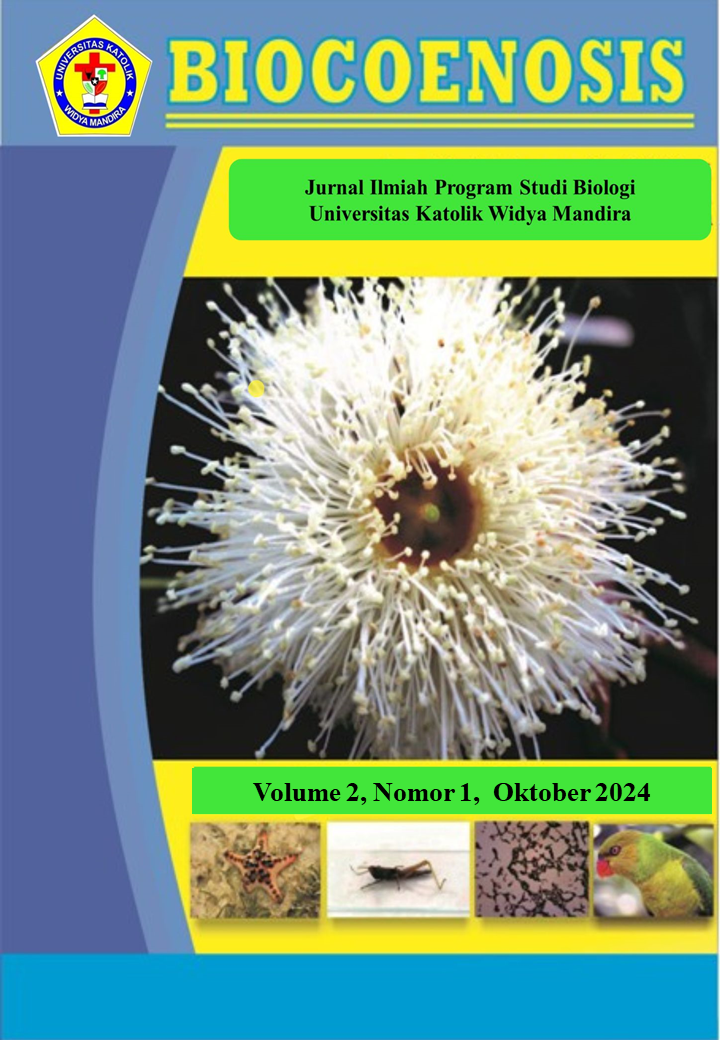 					View Vol. 2 No. 1 (2024): Volume 2 Nomor 1, Oktober 2024
				